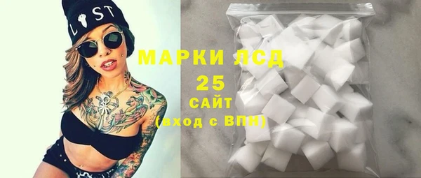 хмурый Алексин