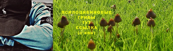 мяу мяу мука Алзамай